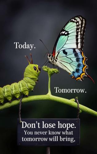 506610632_1253052196188912_1064109529987020215_n