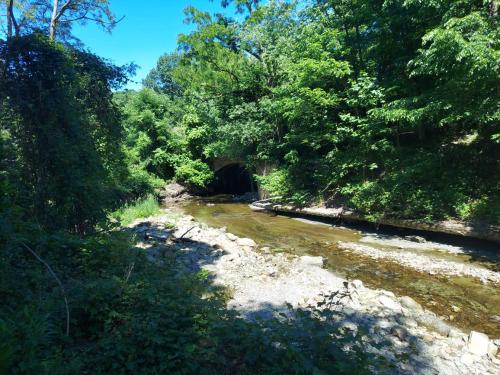 1288f6ac-6517-4530-8694-0342902206d6