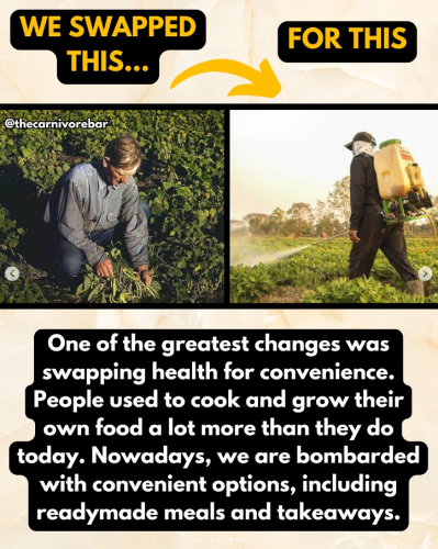 Screenshot 2025-06-01 144545