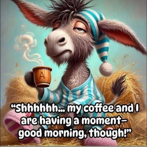 FB_IMG_1749022956605