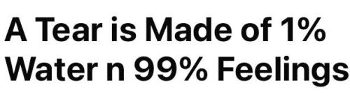 cffda3e33c2b559607c6961714054131_1024