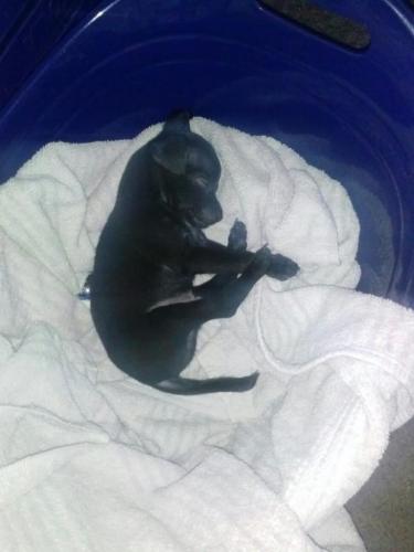 0a0cfdf6-81ce-41a0-9aad-32ac6565d3c8