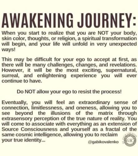 512689741_732256899690505_3286492801136422035_n