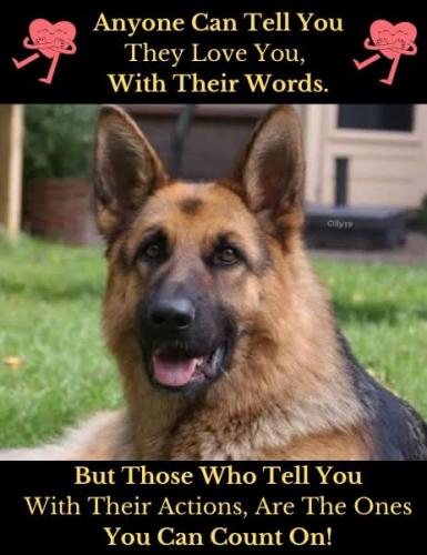 FB_IMG_1748708670030