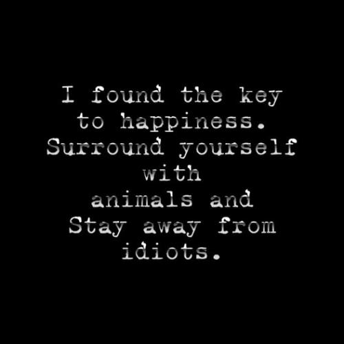 506445877_645228378680332_1331967585423607808_n