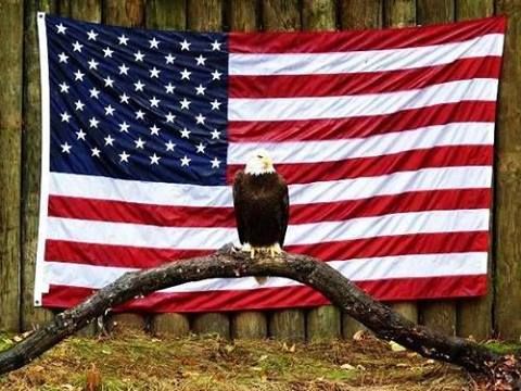 3ccc43270f07c83f5682a64506731774