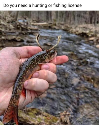 Screenshot_20250613_160258_Facebook_resized