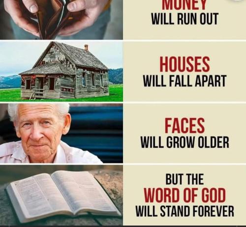 7ff9fdaf-f013-4e2b-9729-668f7b4971af