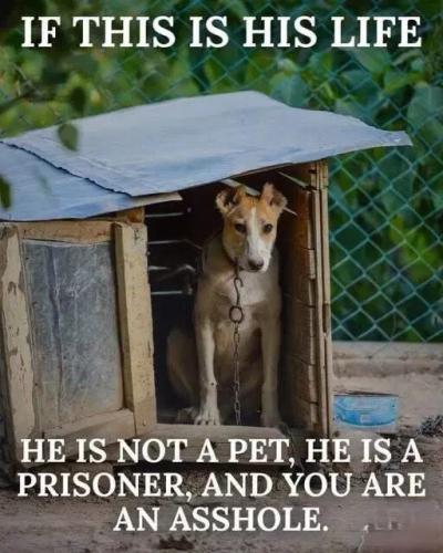 56a82eb8f0d9f5fd699be02070dd45e6