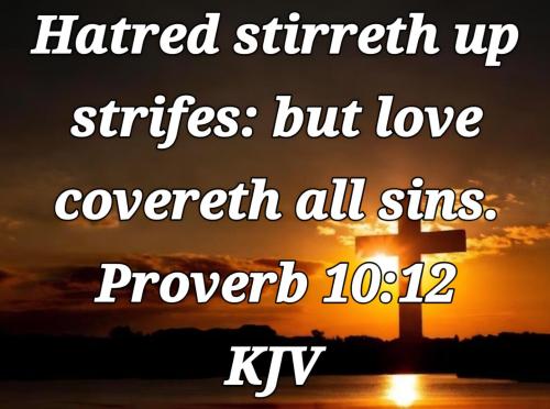 7537371c-c448-4415-8d8b-d7fd4f607fde