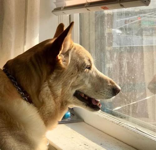 760c1579-ab67-422b-b474-5d2471052632