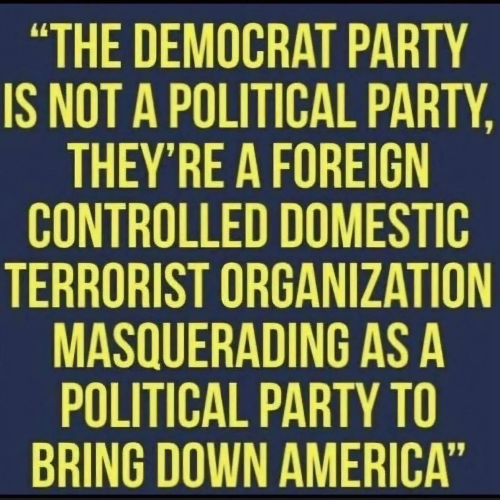 image_2025-06-17_055806139