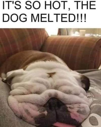 FB_IMG_1750247463620