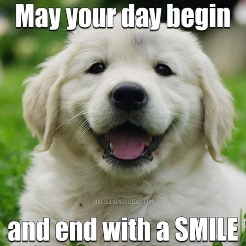 ffa2ad19a41f79e262e2a973a526e037