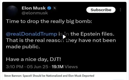Steve Bannon attacking Musk screenshot
