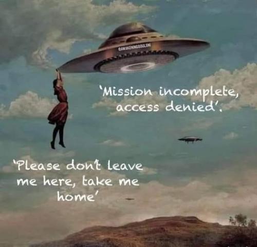 508221019_724701303779398_1591828707830880119_n