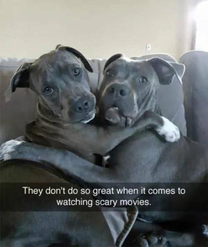 FB_IMG_1749850620103