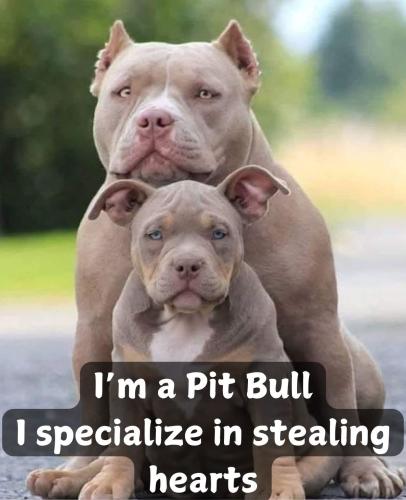 FB_IMG_1750873253205