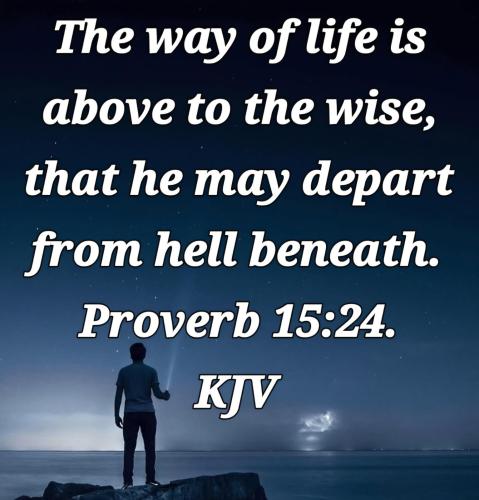 9146b439-e79a-447a-90a2-c54e12b16280