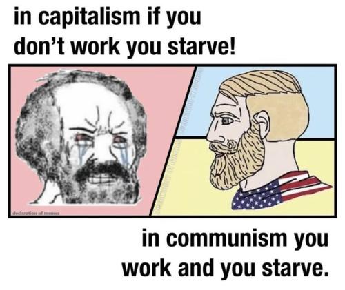 500292378_742455064774076_364797644410385195_n