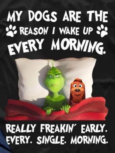 28dd82a4f237567084c6013f7fd50574