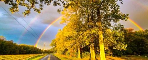 Screenshot_20250602_073625_Gallery