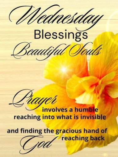 508462958_737172215483794_545790437405749885_n