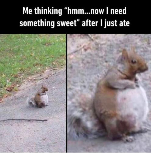 need something sweet