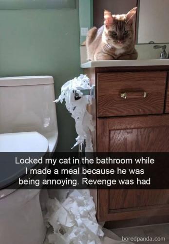 FB_IMG_1750682104223