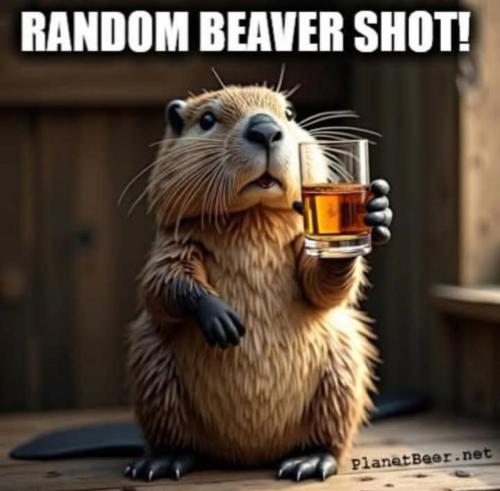 image_4B588C4E-FE0B-4EF7-96D4-A18F8AC16F65