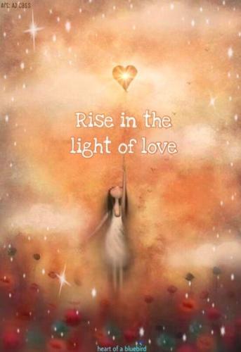 985ff6fb91ed5ed8e1e58ad99312aa83