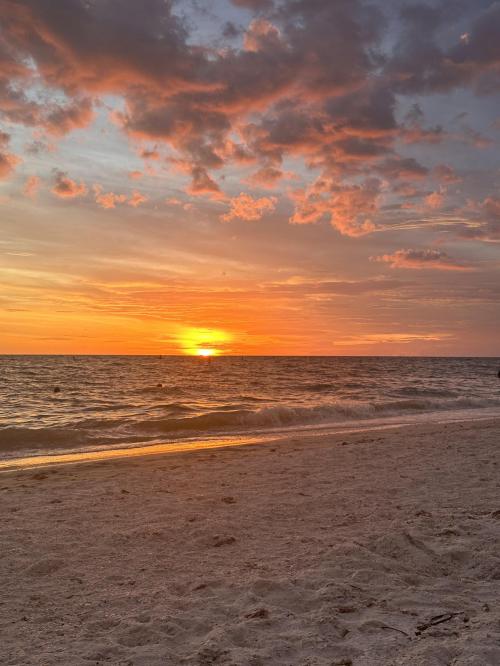 0586ded6-ad47-40ee-a48f-287e7fcb6eef