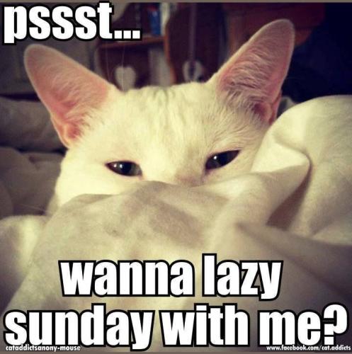 23e2cdd30b42d4f354abcc5221646cf2