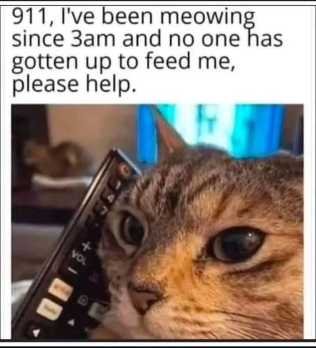 35e6f1331eb404e0d75736a1aea29e96