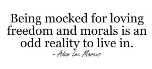 photo_2025-06-11_23-07-40