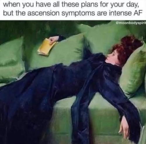 504006407_718958467687015_5576055764226140391_n