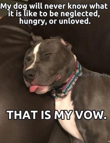 FB_IMG_1748710592477