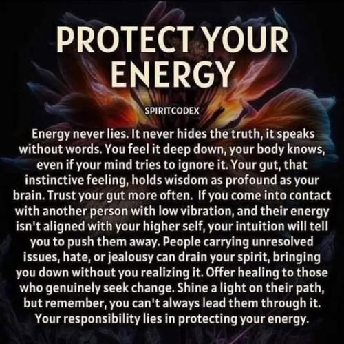 489916091_29140308808948284_6167771825190209593_n