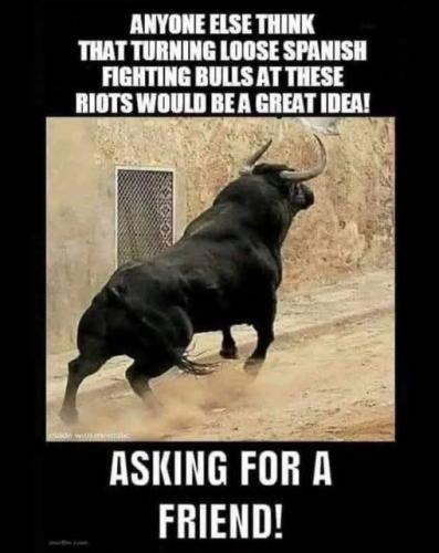 IMG_20250613_031540_550