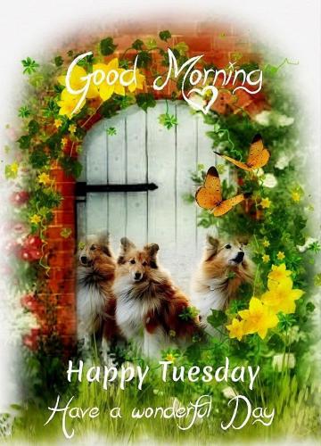 7c01c83469e0f5d0efefd0ebb21095e6