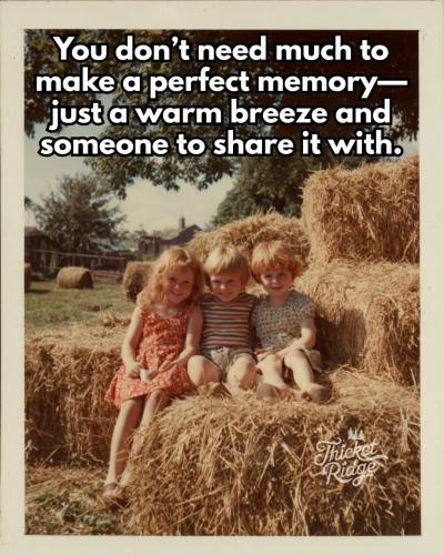 FB_IMG_1749065713866