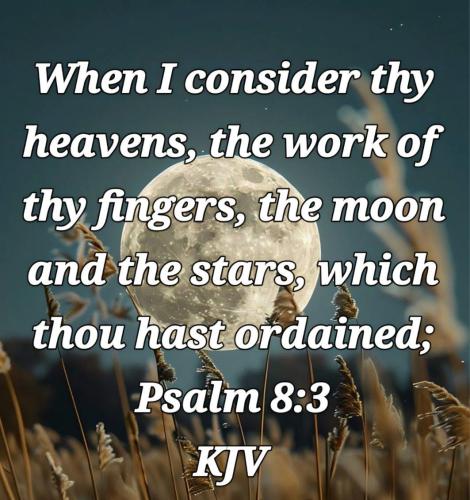 c84334dc-506b-447c-8675-513c1b0a4c5b