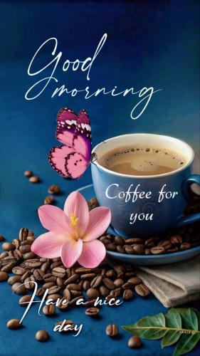 FB_IMG_1750925157991