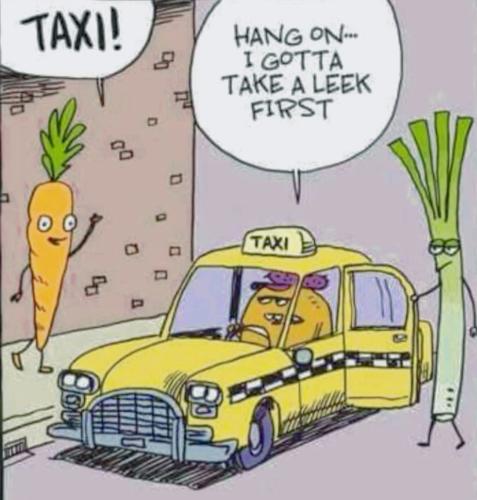 FB_IMG_1749083336519