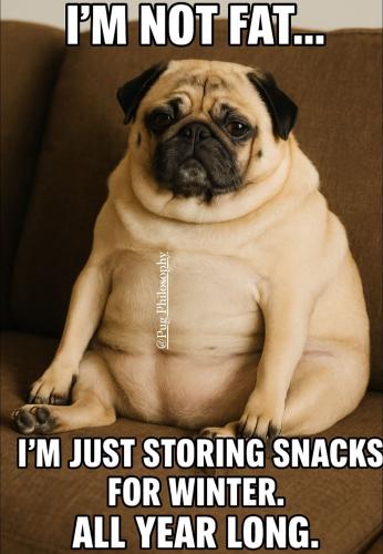 FB_IMG_1750014335514