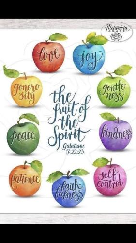 505922126_10237830975216791_920239573626312783_n