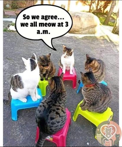 c3d958a0f08352f2a270db06eb3f8f2b