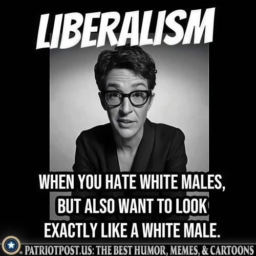 01JY37QW06V7MHS3B3RCZ5M77H