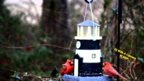 Screenshot_20250625_064752_Gallery