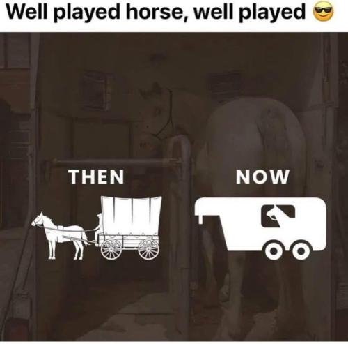 photo_2025-06-15_17-46-12